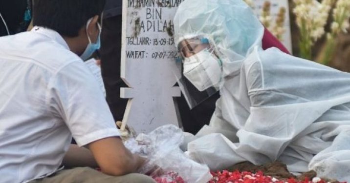 corona di jambi