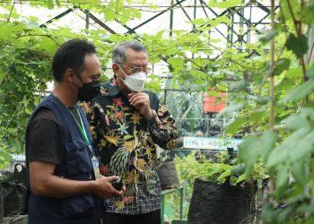 Hadiri Milad Komunitas Anggur Tangsel, Benyamin akan Jadikan Tangsel Kota Anggur