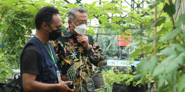 Hadiri Milad Komunitas Anggur Tangsel, Benyamin akan Jadikan Tangsel Kota Anggur