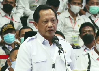 Silatnas Apdesi 2022, Mendagri Beberkan Upaya Pemerintah Perkuat Pembangunan Desa