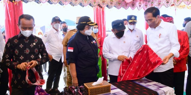 Dikunjungi Jokowi, Begini Reaksi Pelaku UMKM di Wakatobi