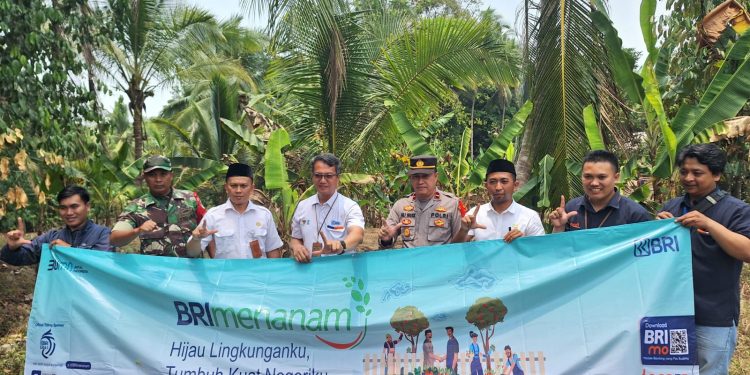 Bantu Pemerintah Turunkan Emisi, BRI Cabang Labuan Adakan Penanaman Bibit Tanaman Produktif