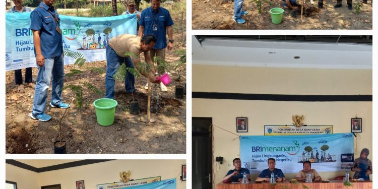 BRI Labuan Kembali Tanam Pohon Produktif di Desa Banyuasih dan Desa Tanjungjaya