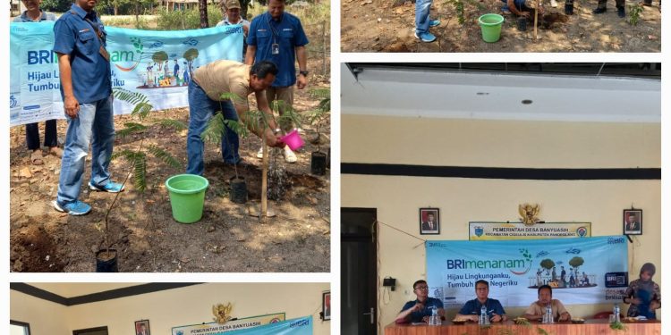 BRI Cabang Labuan Sebar Bibit Tanaman Produktif di 2 Desa