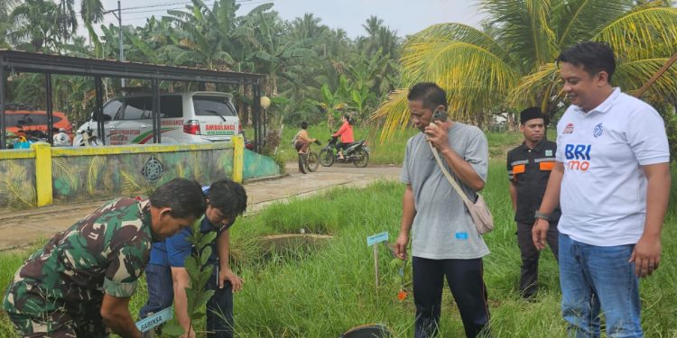 BRI Pontianak Turut Serta Program ESG, Ratusan Bibit Pohon Produktif Disebar