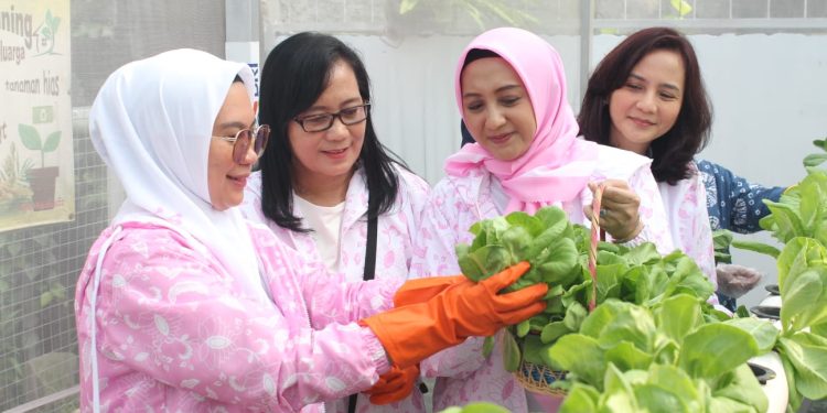 IWABRI Kolaborasi dengan Local Heroes Kampung Hijau Kemuning, Kembangkan Tanaman Hidroponik Penghasil Minuman Kesehatan