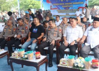 BRI Kanca BSD Dukung Program Ketahanan Pangan melalui Kegiatan Penanaman Jagung Bersama Forkopimda